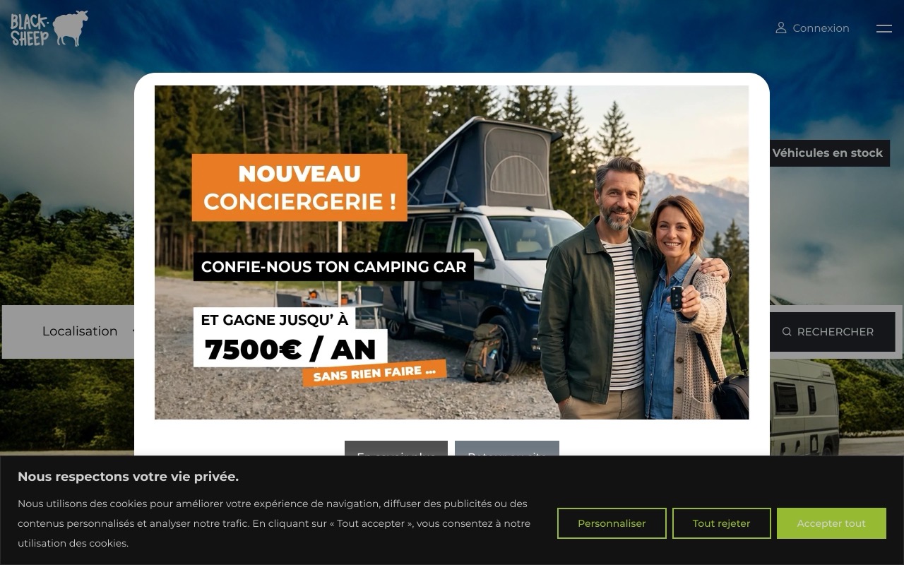 Capture de occasion.blacksheep-van.com